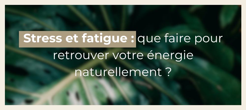 Stress et fatigue : que faire pour retrouver votre énergie naturellement ?