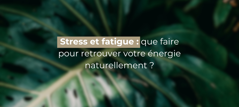 Stress et fatigue : que faire pour retrouver votre énergie naturellement ?