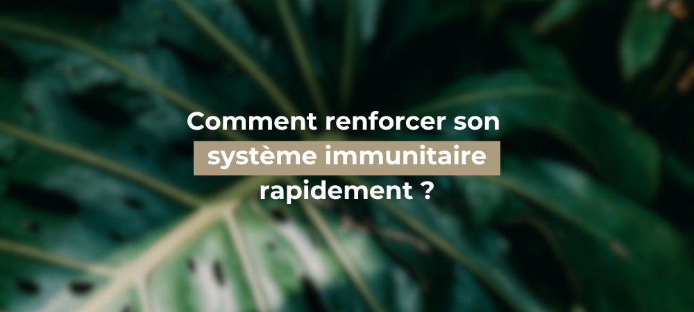 Système immunitaire